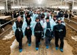 Выращивать коров в Калужской области будут с использованием инновационных технологий
