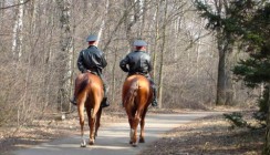 В Малоярославце появились полицейские-кавалеристы