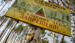 Калужские леса закрыты для посещения в связи с жарой