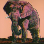 African-Elephant-