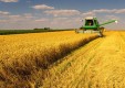 ВТБ начинает кредитование малого бизнеса в сегменте сельского хозяйства