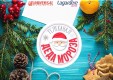 Телеканал Деда Мороза и «Интерактивное ТВ» от «Ростелекома» вновь помогут создать новогоднее настроение
