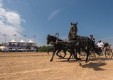 «Ростелеком» обеспечил интернетом сразу два фестиваля Калужской области