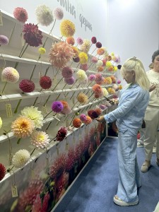 IMG_0064 (1)