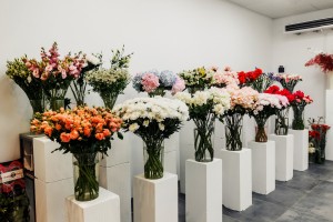 image-27-05-25-12-27