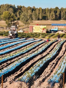 0A7HJrZU30FHeLS1j9WCCBylAbNuUevODv9xCd7_lzQucGiZMptc-j-TtUrFCnBkvnhrKwYxuaLrtkNvOuPYzZMA