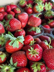 ND62Qkvn4C-kU0QzUq75I3Lj5KGsL6dKWgcJaT90UD9pLJTt59wZffFvJZkSFp7J1B0fWnZBvxxGuW3AWRxcFpvN