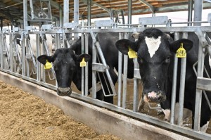 ljeyqks65oqan9cn6gyfliegf330sy87